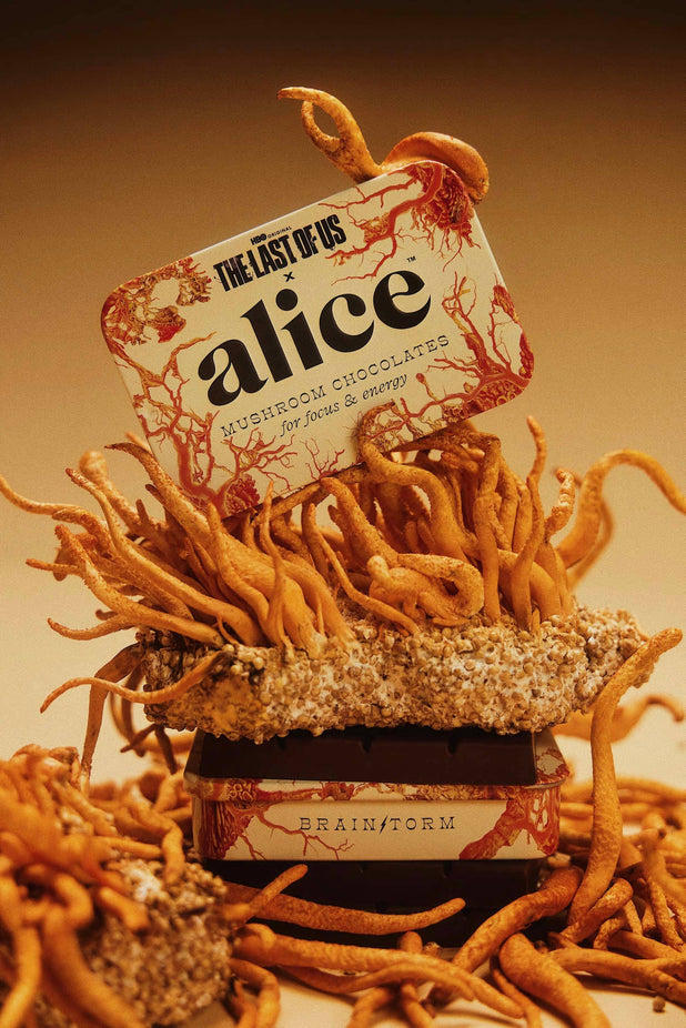 The Last of Us Brainstorm - Mushroom Chocolates