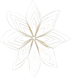 Ornament Quilling - White (5.91 in)