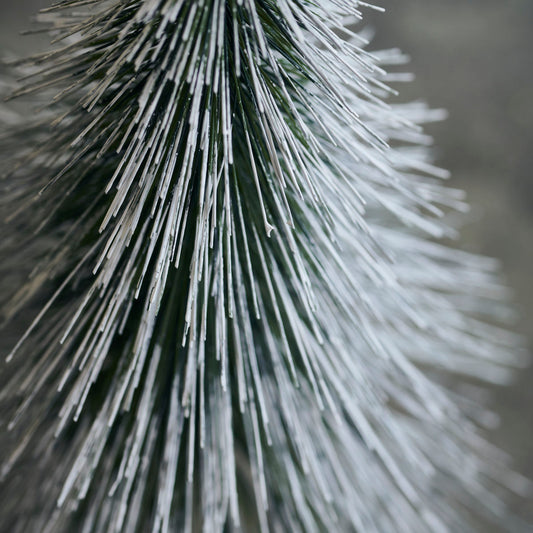 Christmas Tree - Sprinkle - Natural (6 Pack)