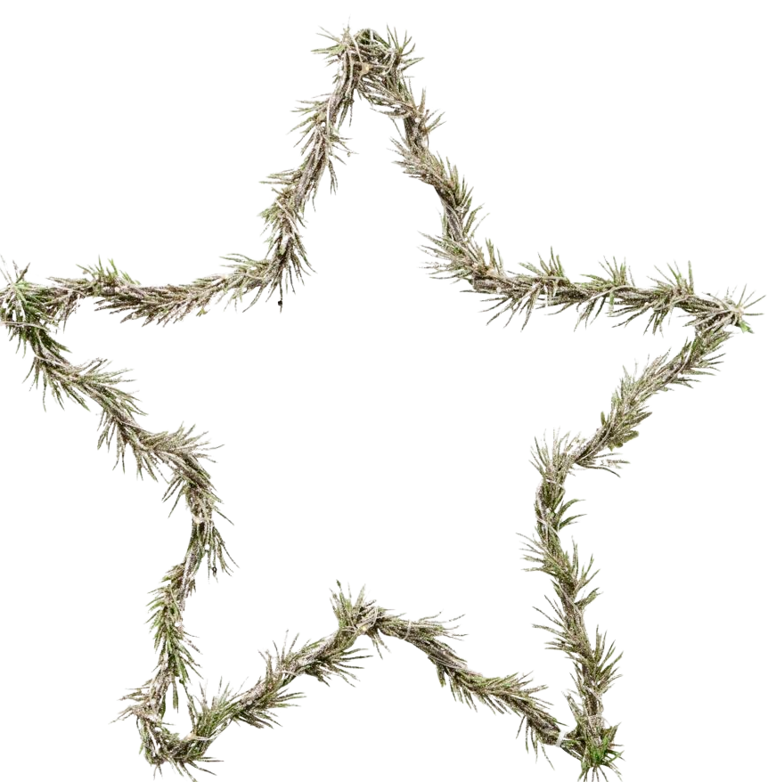 Wreath Star - Natural (11.81 in)
