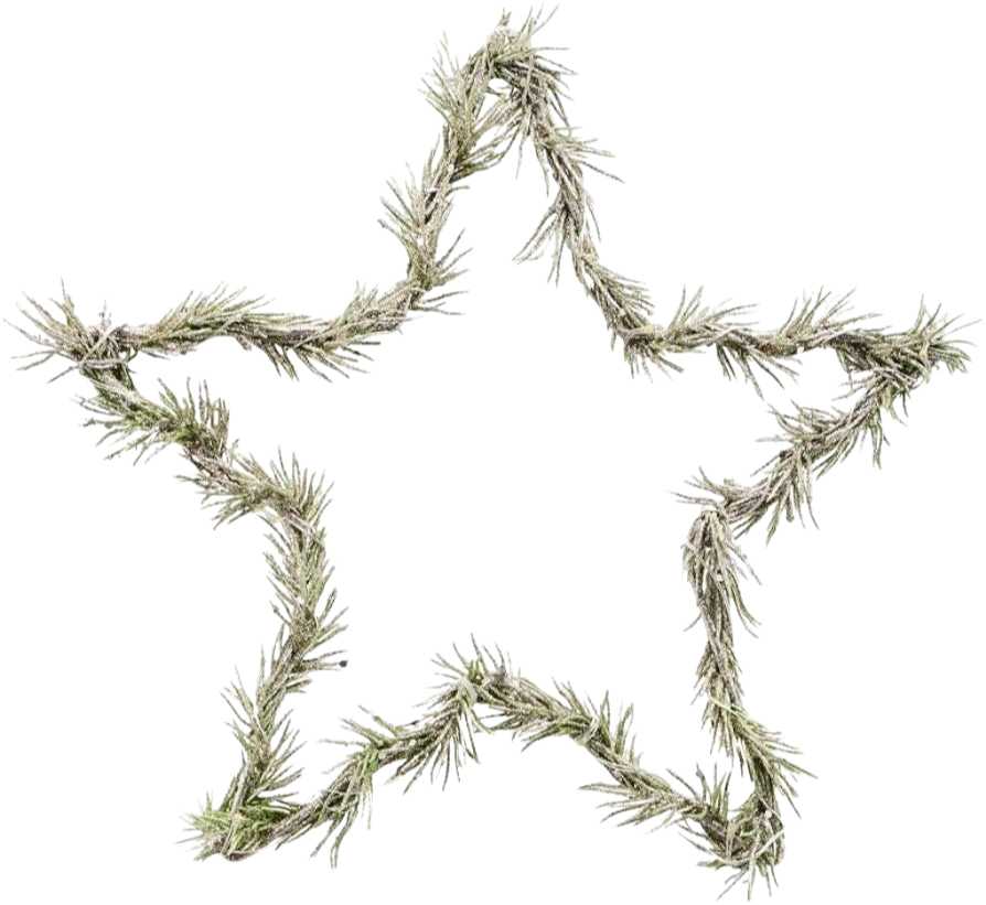 Wreath Star - Natural (9.84 in)