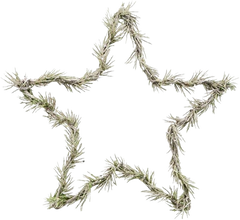 Wreath Star - Natural (9.84 in)