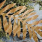 Ornament Tin Plate Leaf - Brass (6 Pack)