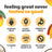 Mango Coconut Superfood Smoothie (4 Pack)