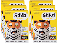 Fruit Bites - Mango (6 Pack)