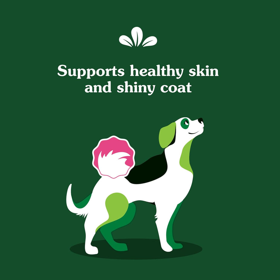 Dog Skin & Coat Supplements - Chicken Flavor