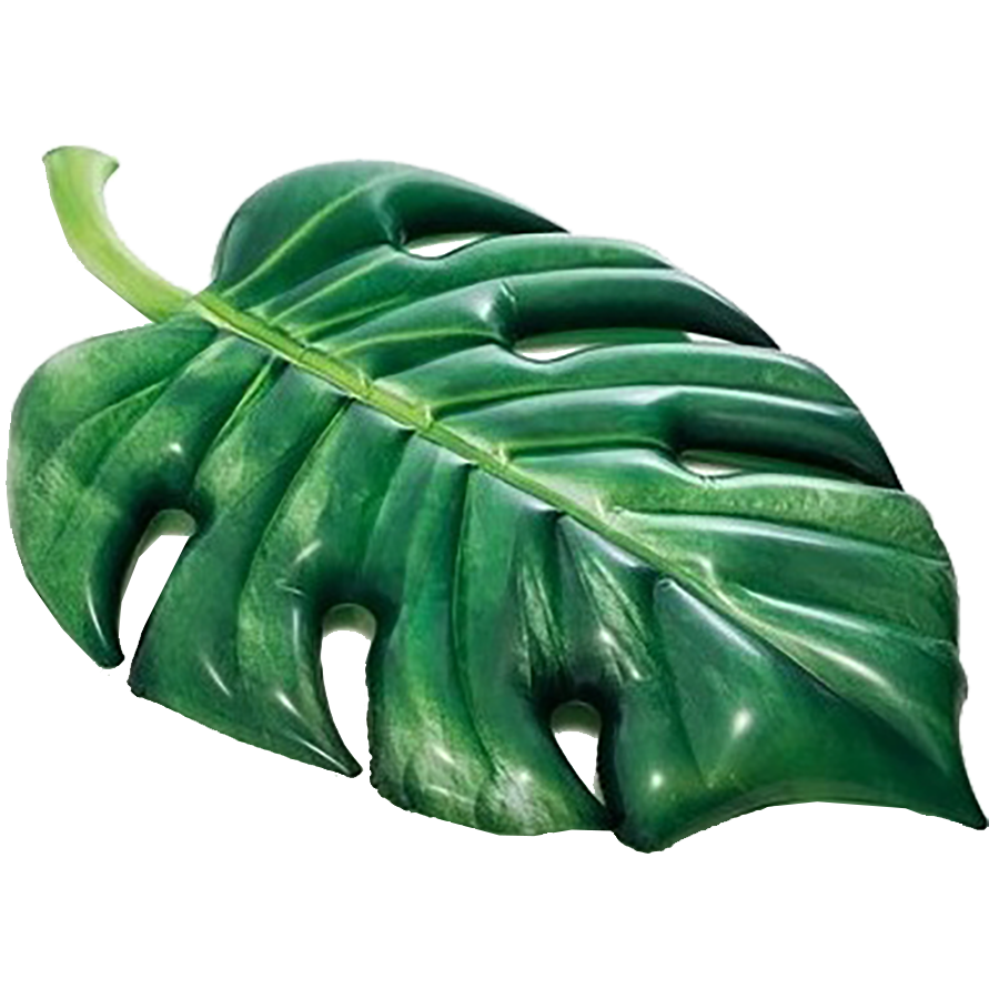 Palm Leaf Mat