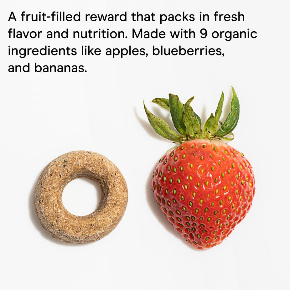 Baked Dog Treats One Size - Fruit Salad