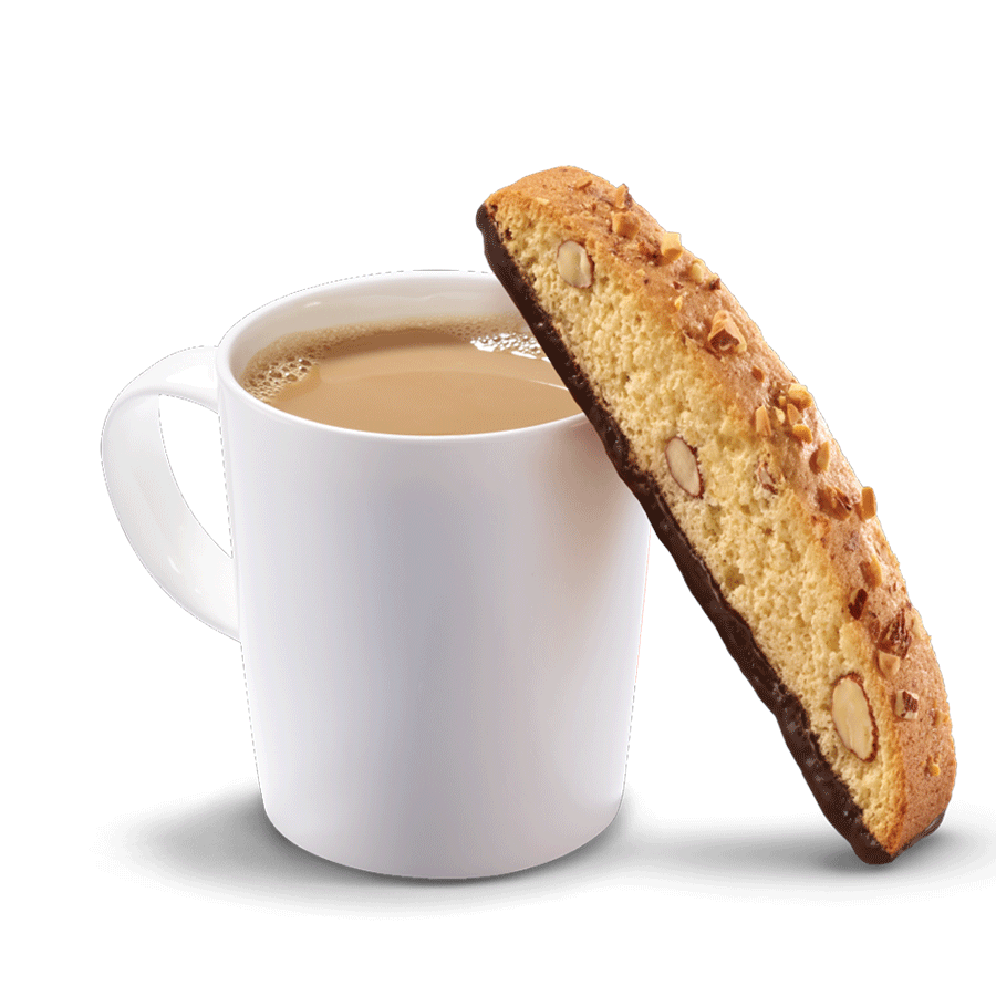 Chocolate Biscotti