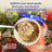Blueberry Almond Hot Cereal (6 CT)