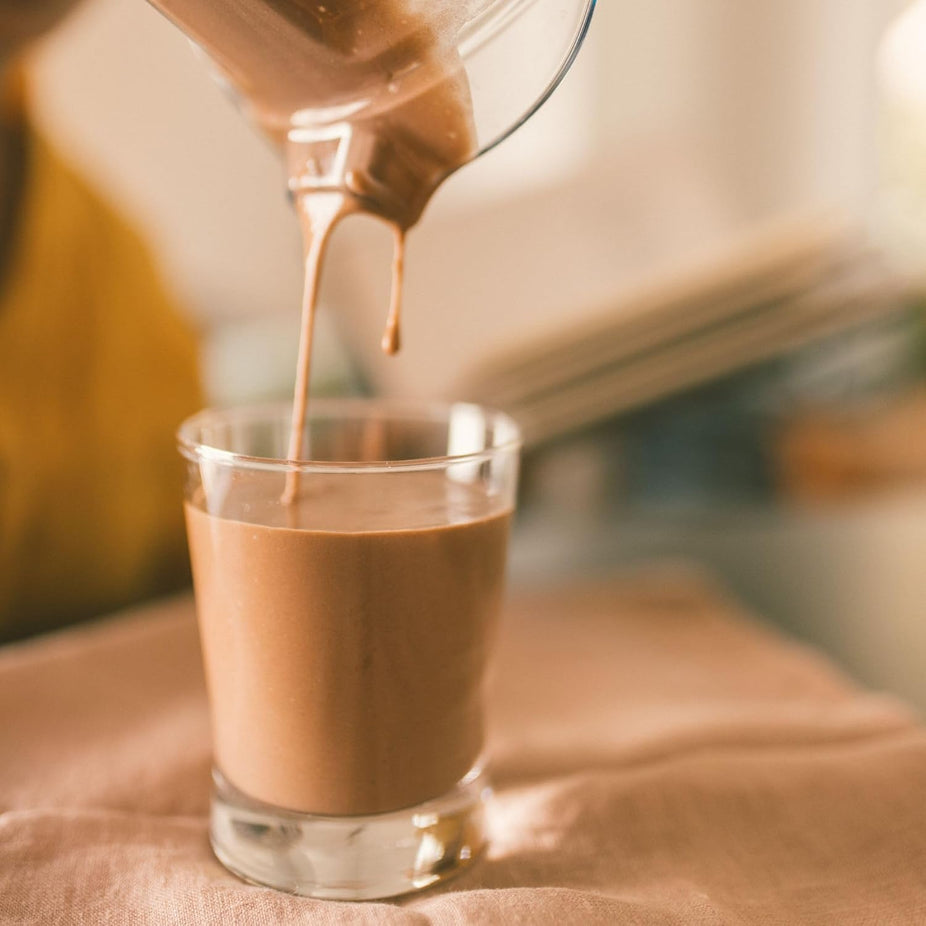 Plant Based Probiotic Protein Chocolate Powder (30 Servings)