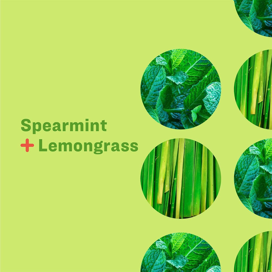 Hand Soap - Spearmint Plus Lemongrass