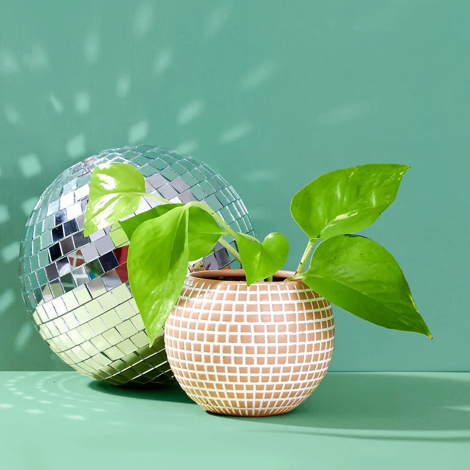 Disco Ceramic Planter - Small / Sand