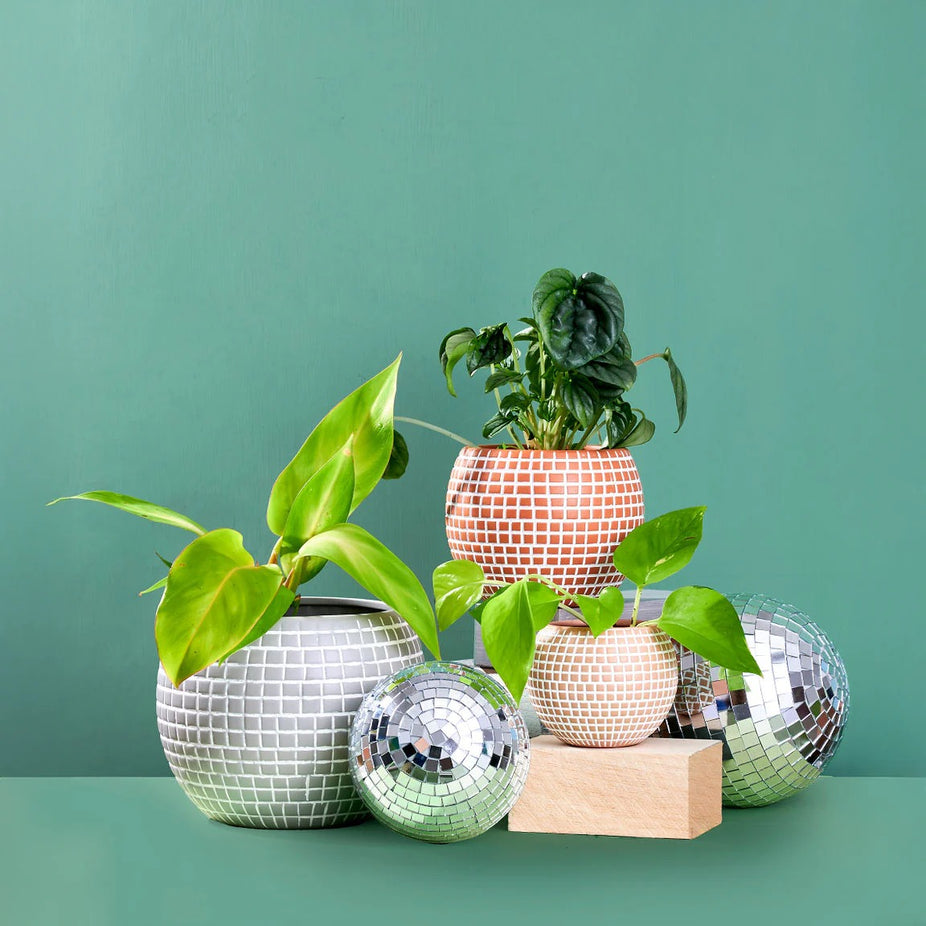 Disco Ceramic Planter - Medium / Terracotta