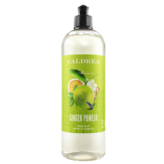 Dish Soap - Ginger Pomelo