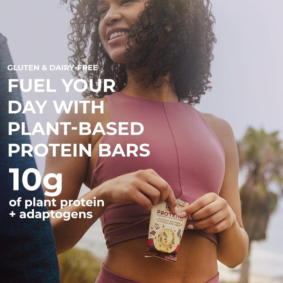 Peanut Butter Chocolate Chip Protein Bar (10 CT)