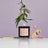 Kush Candle