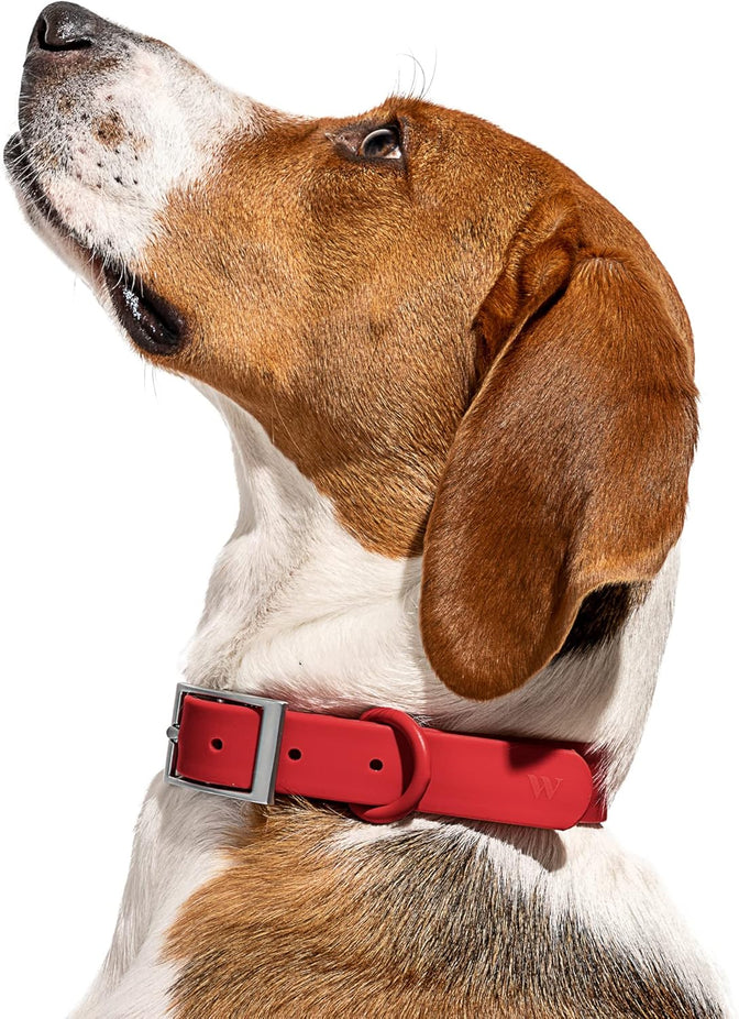 Collar Large - Strawberry