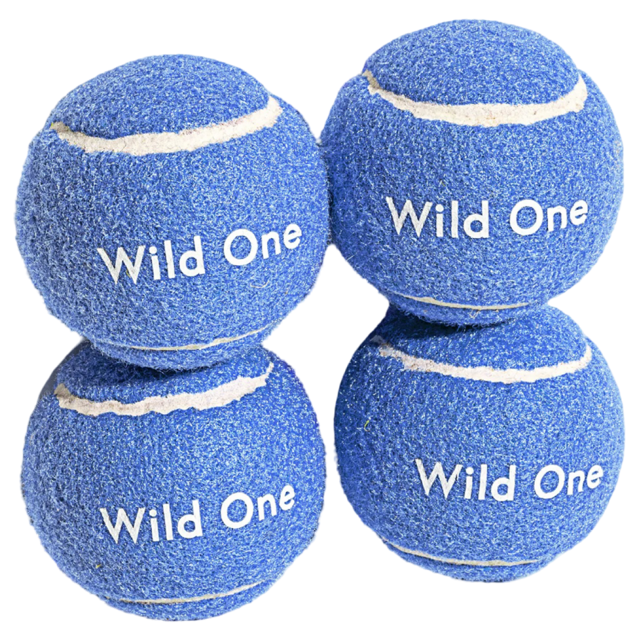 Tennis Balls - Small - Moonstone (4 CT)