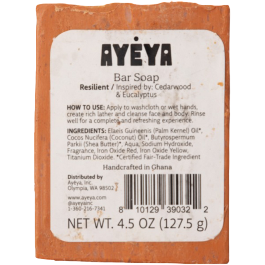 Resilient Soap Bar