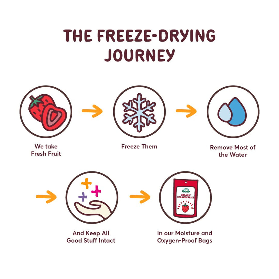 Organic Chocolate Strawberry Slices