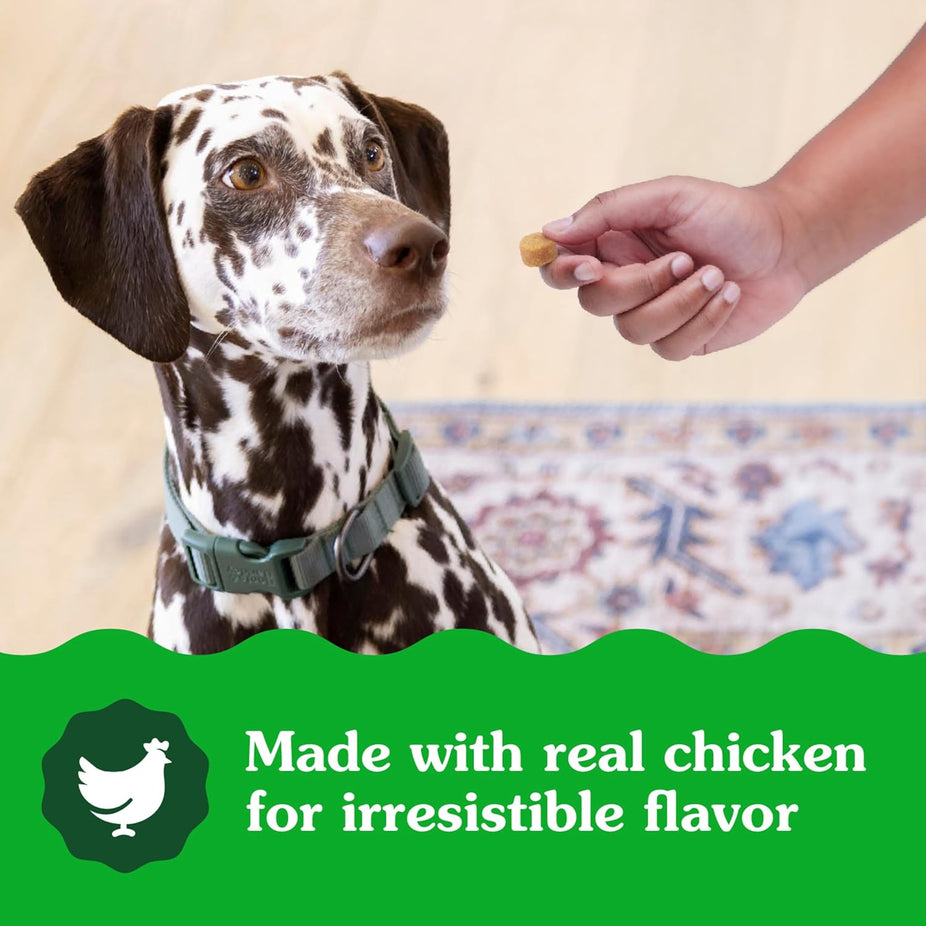 Dog Skin & Coat Supplements - Chicken Flavor