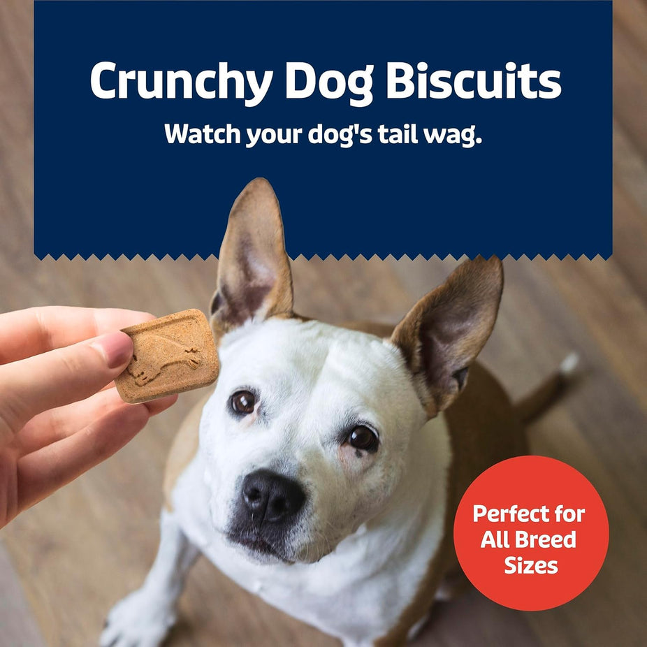 Health Bars Natural Crunchy Dog Treats - Bacon, Egg & Cheese Flavor