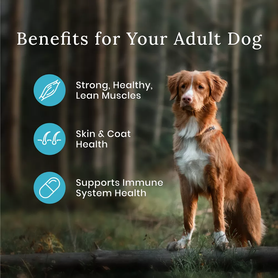 Wilderness High Protein Adult Dry Dog Food with Salmon