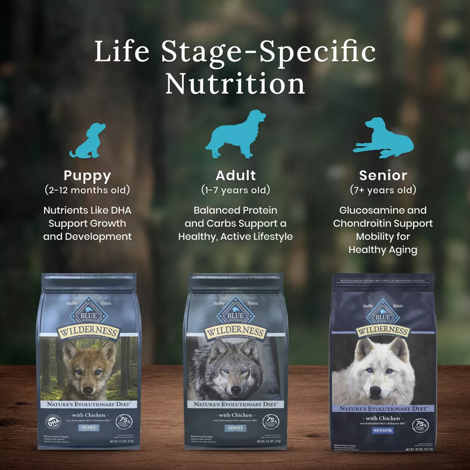 Wilderness High Protein Adult Dry Dog Food with Salmon