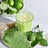 Classic Candle - Lime Zest & Matcha