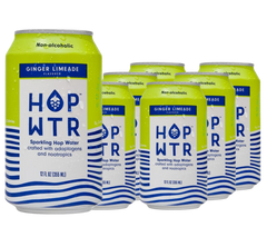 Ginger Limeade (6 Pack)