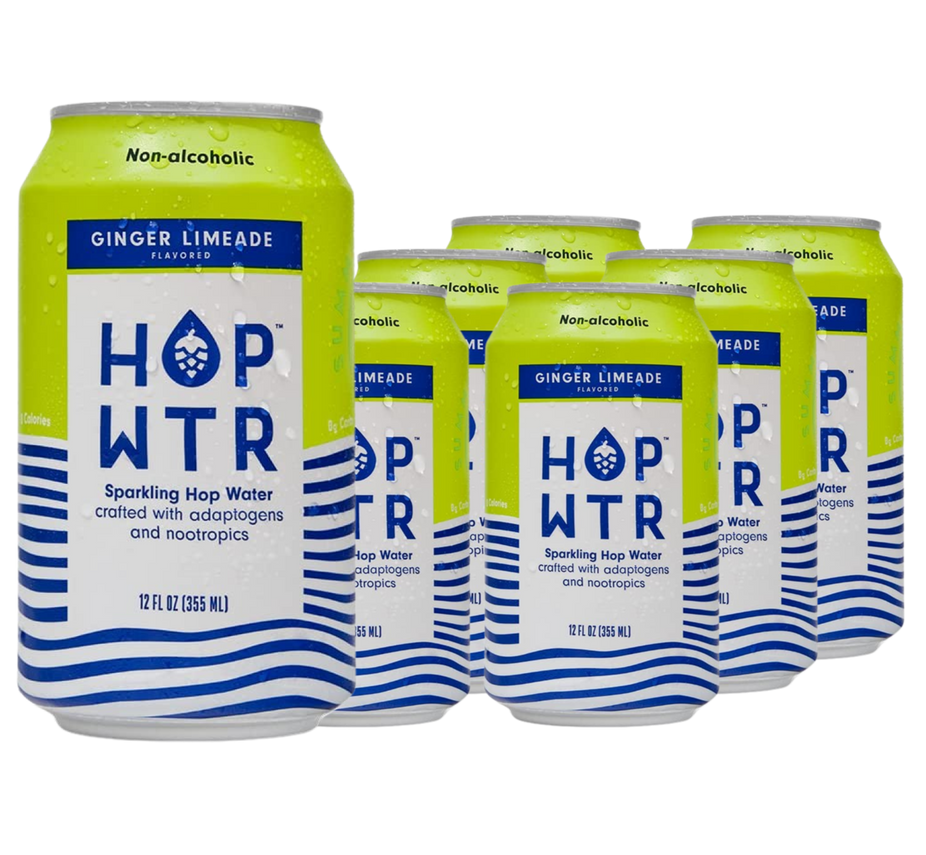 Ginger Limeade (6 Pack)