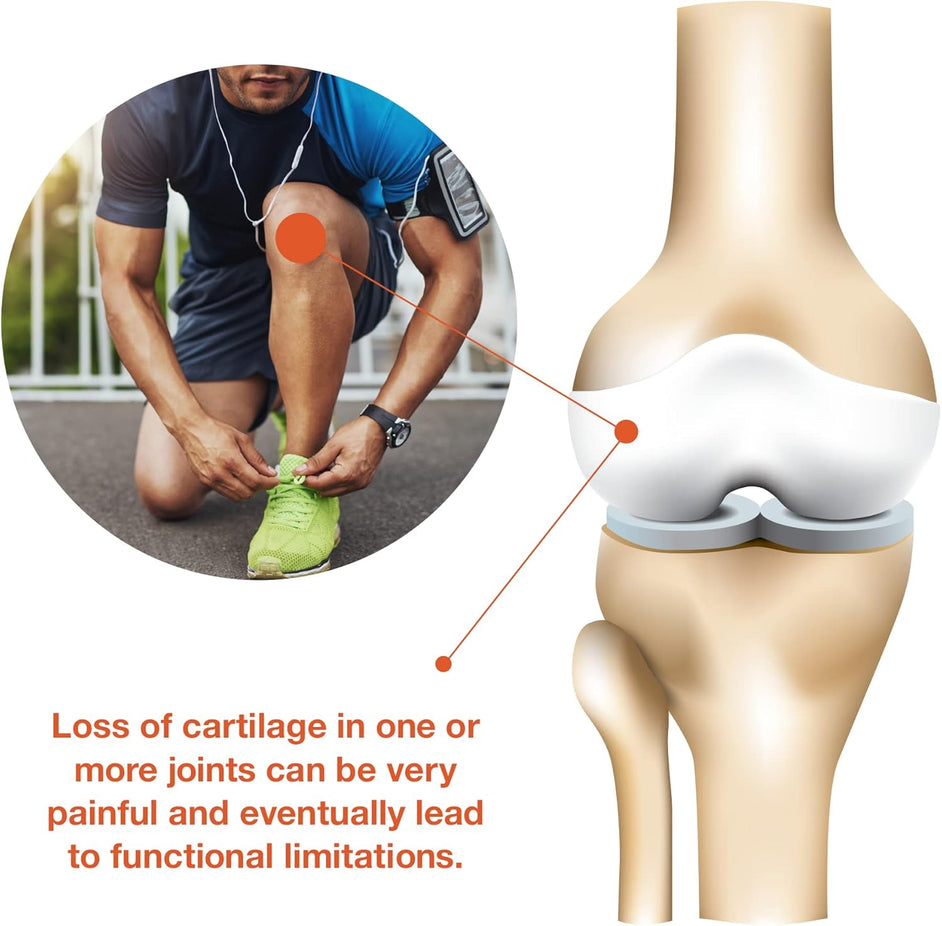 Vegetarian Joint Collagen