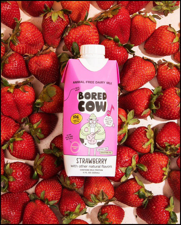 Animal-Free Dairy Strawberry Milk