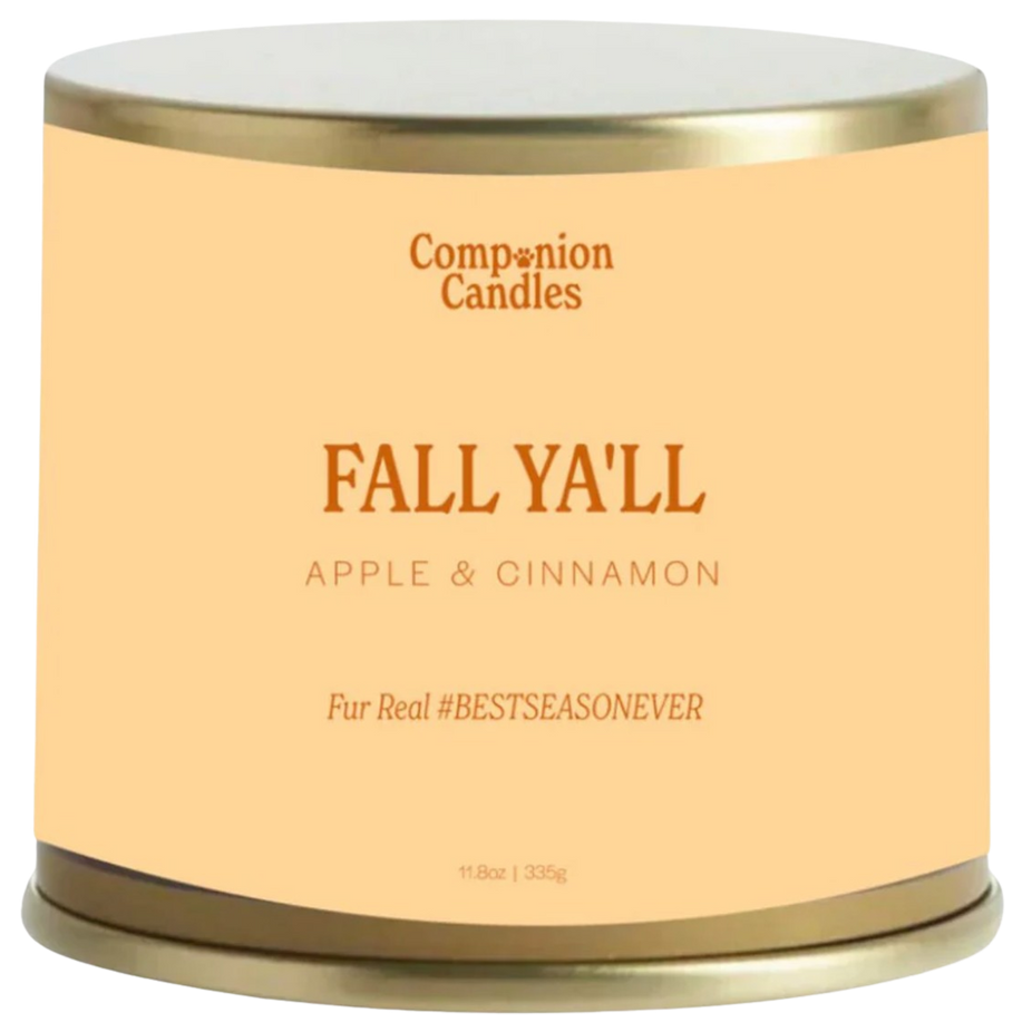 Fall Yall Apple and Cinnamon Candle