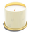 You Got This Citrus and Tropical Fruits Candle
