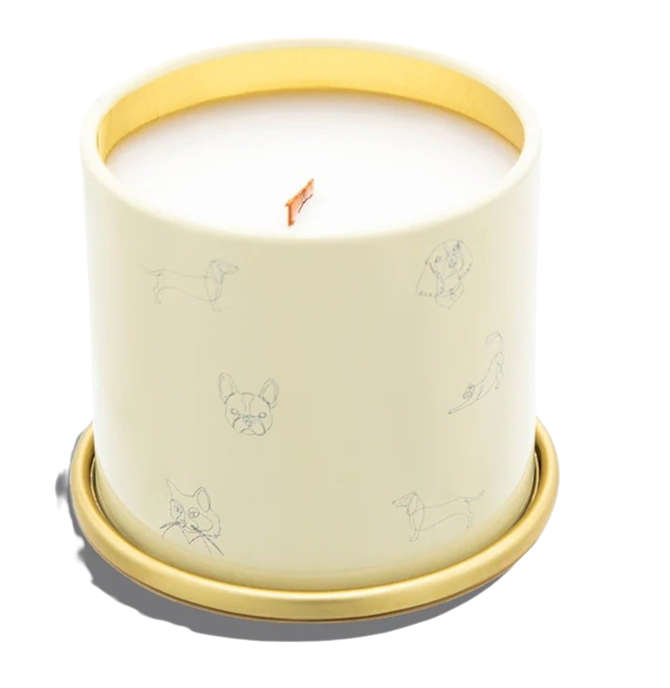 You Got This Citrus and Tropical Fruits Candle