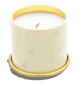 You Got This Citrus and Tropical Fruits Candle