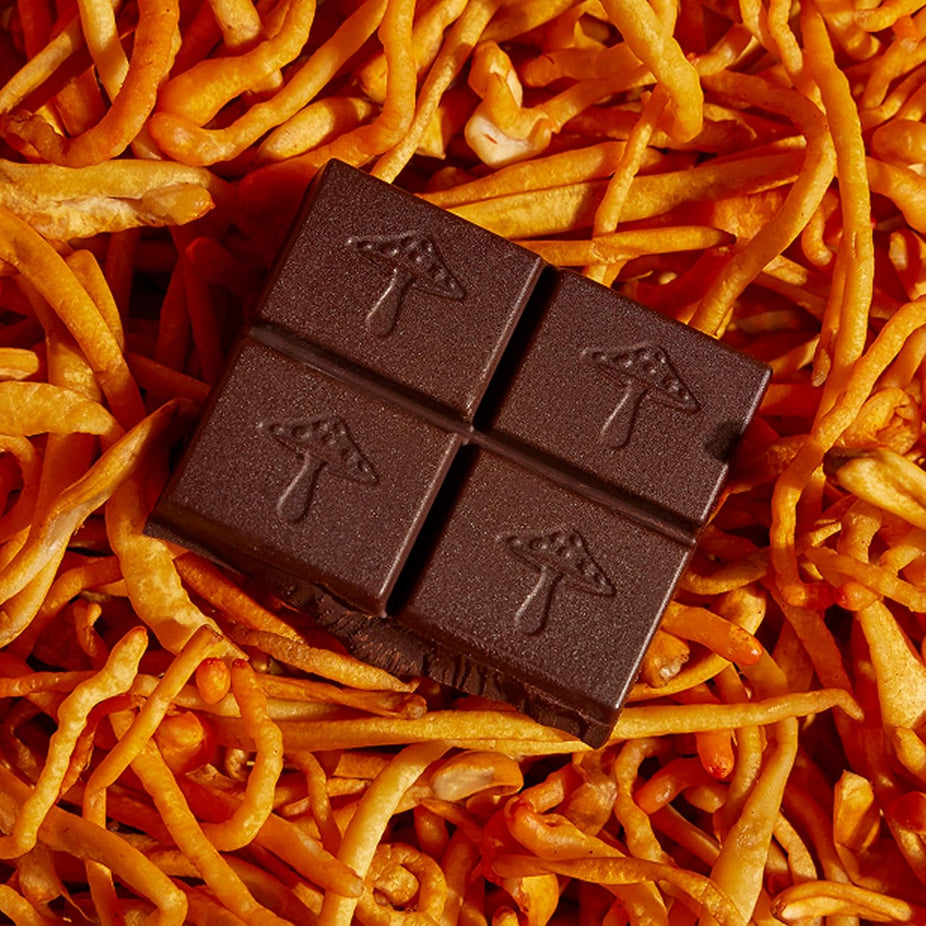 The Last of Us Brainstorm - Mushroom Chocolates