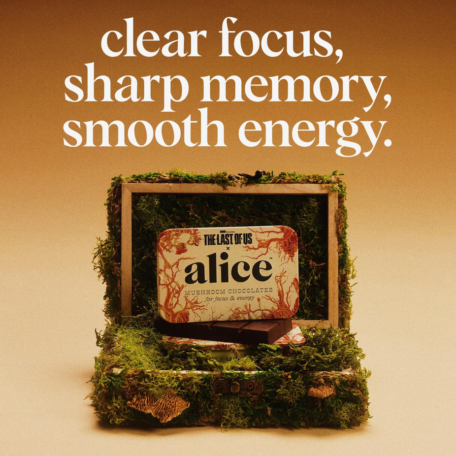 The Last of Us Brainstorm - Mushroom Chocolates