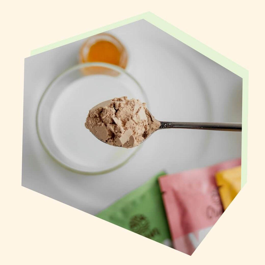 Organic Plant Based Natural Unsweetened Protein Powder
