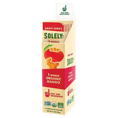 Mango Fruit Jerky (12 CT)