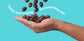 Dark Chocolate Almonds (9 Pack)