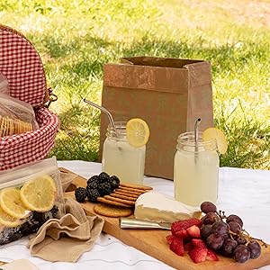 Compostable Waste Bags (10 CT)