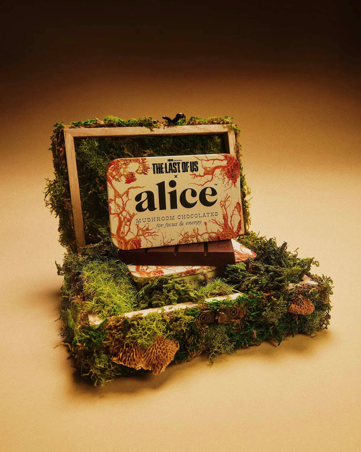 The Last of Us Brainstorm - Mushroom Chocolates