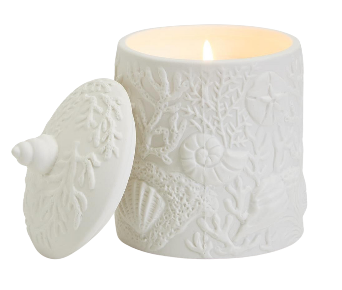 24oz Shell and Coral Relief Filled Candle with Sea Spray Scent- 30 hrs
