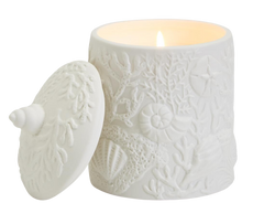 24oz Shell and Coral Relief Filled Candle with Sea Spray Scent- 30 hrs