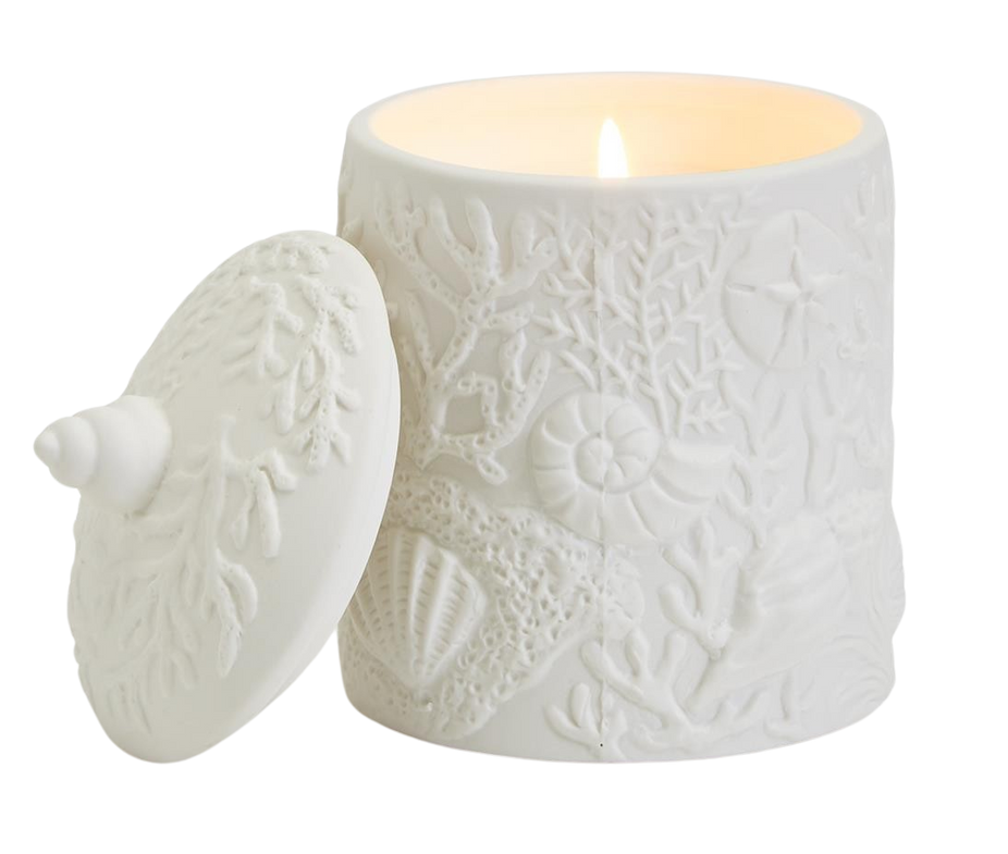 24oz Shell and Coral Relief Filled Candle with Sea Spray Scent- 30 hrs