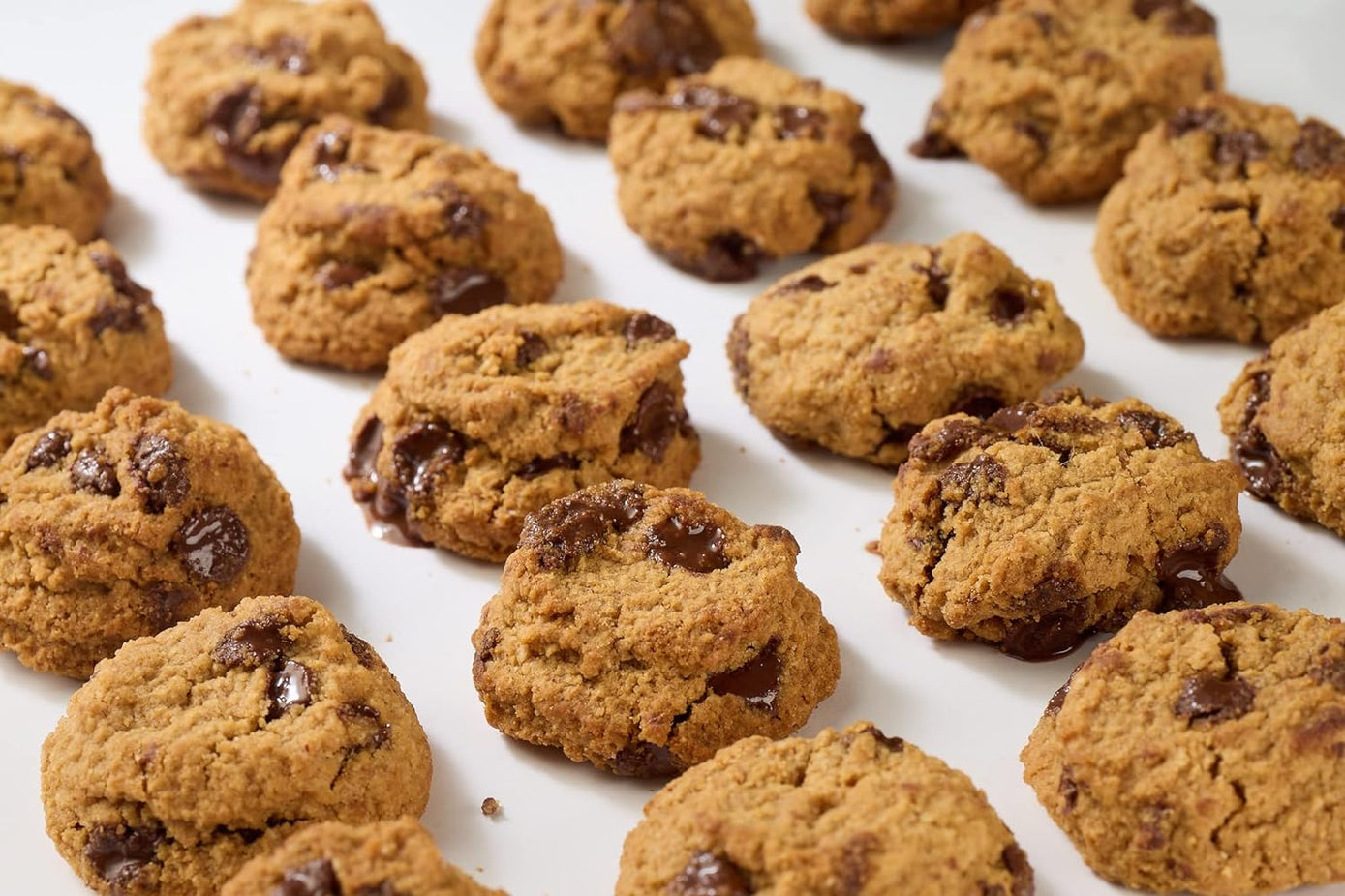 Peanut Butter Chocolate Chip Minis Cookie Poppers