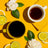 Organic Medium Roast Whole Bean Coffee
